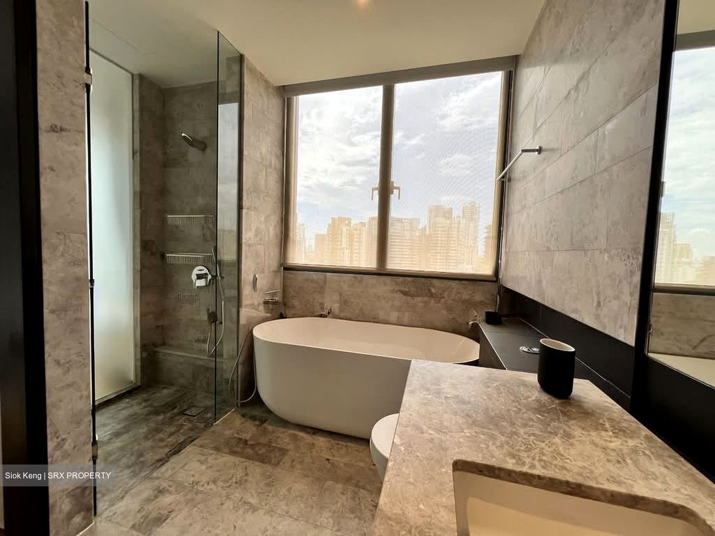 OUE Twin Peaks (D9), Condominium #565780011